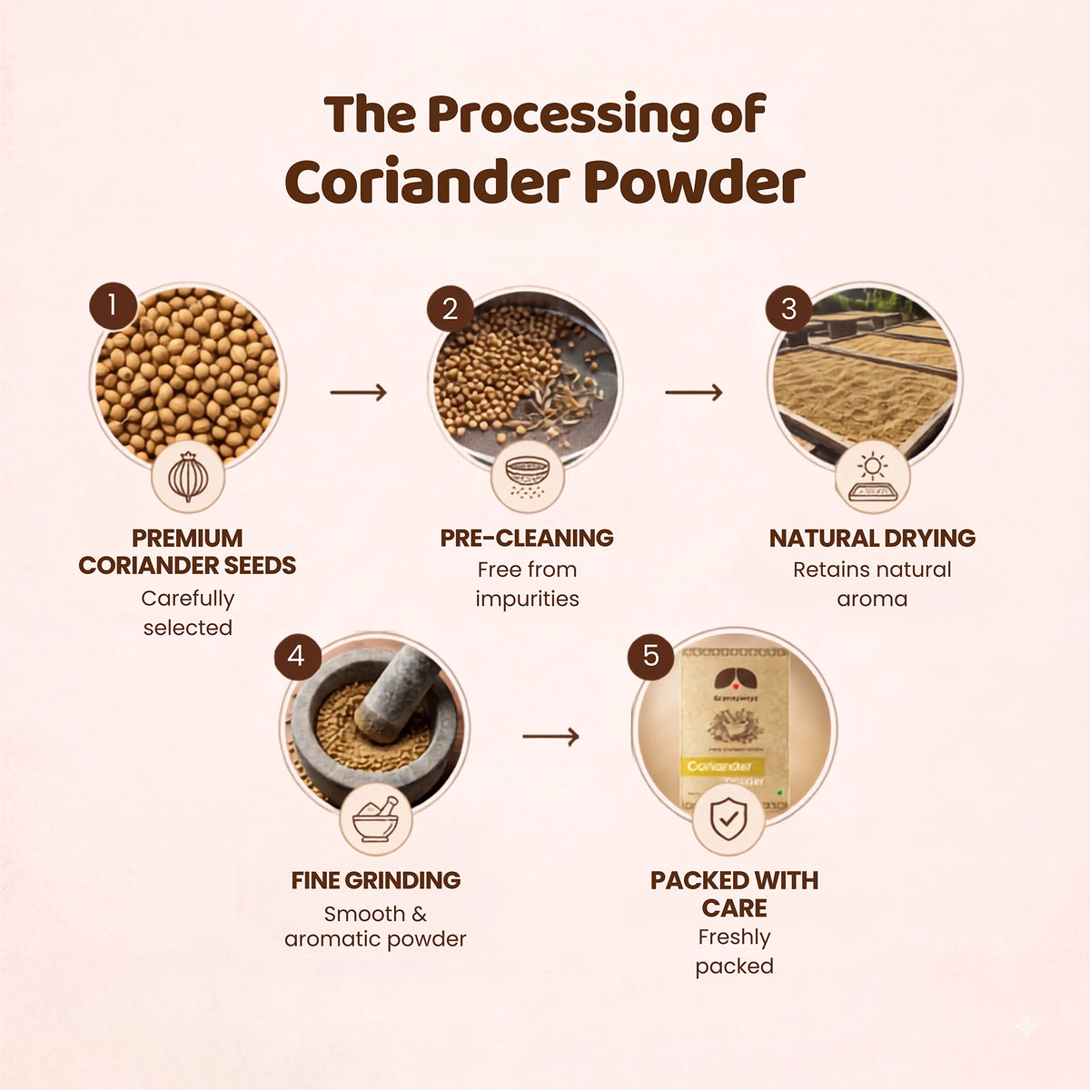 Coriander Powder