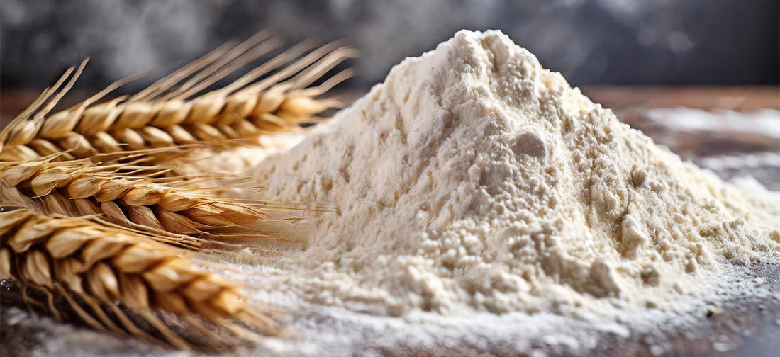 The Power of Tradition: Why Sharbati Whole Wheat Flour Outperforms Commercial Varieties